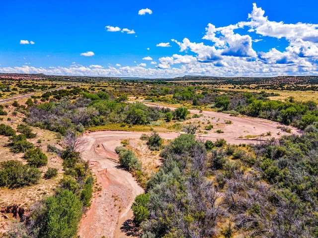 177 Camino Querencia, Cerrillos, NM 87010