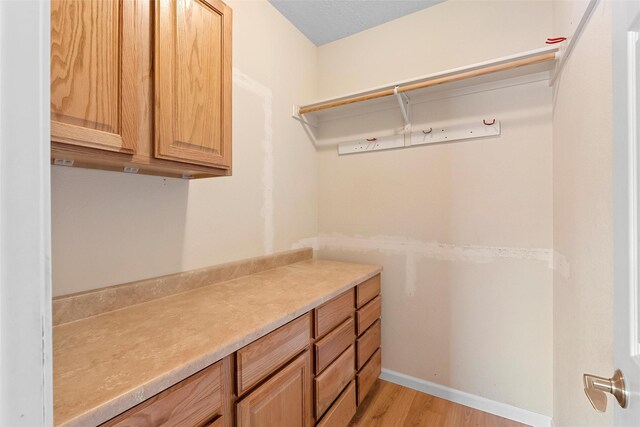 2613 Camino Catalonia, Rio Rancho, NM 87124 - walk in closet with light wood-style flooring
