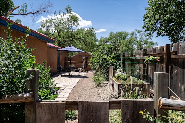 3 Waldo, Cerrillos, NM 87010 - view of yard with a garden and a patio