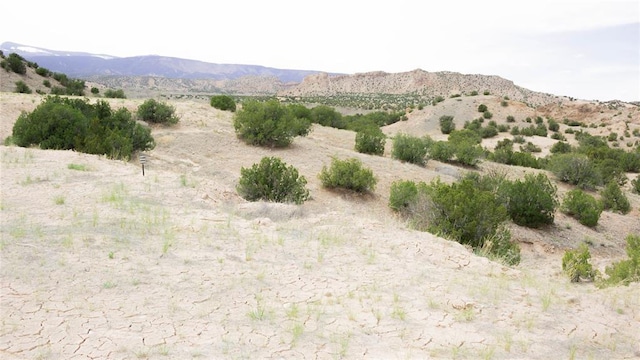 TBD US Highway 285, Ojo Caliente, NM 87549