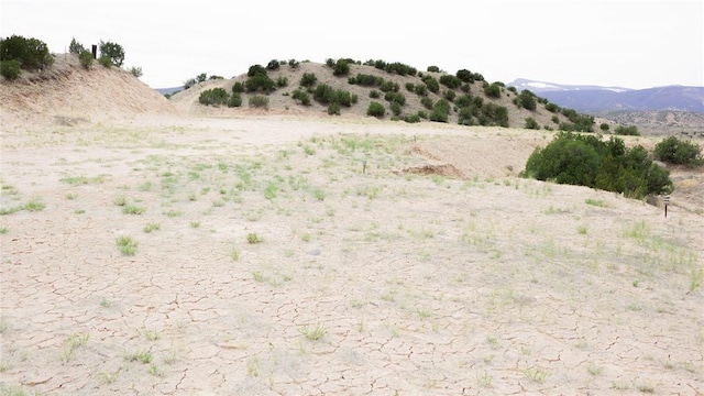 TBD US Highway 285, Ojo Caliente, NM 87549