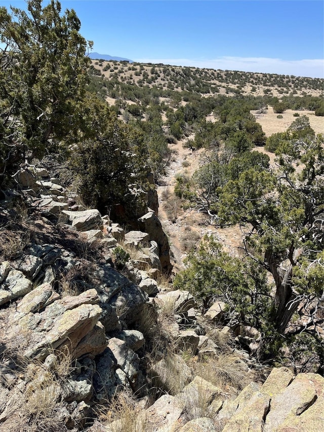 29 Trigg Trl, Cerrillos, NM 87010