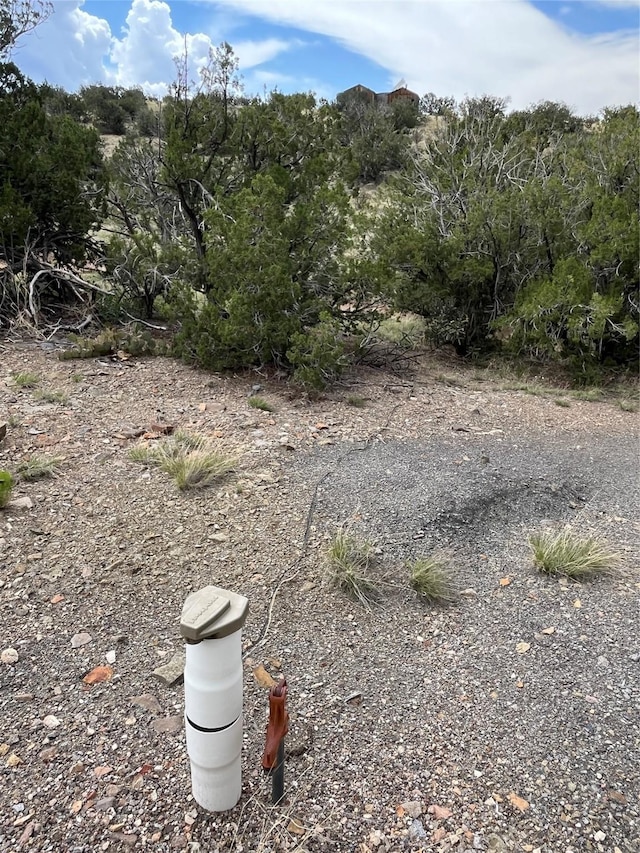 29 Trigg Trl, Cerrillos, NM 87010