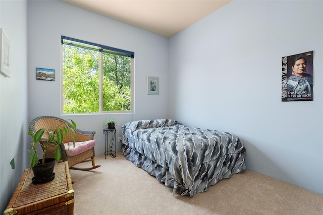 15 Cimarron Pass, Santa Fe, NM 87508 - bedroom with carpet flooring