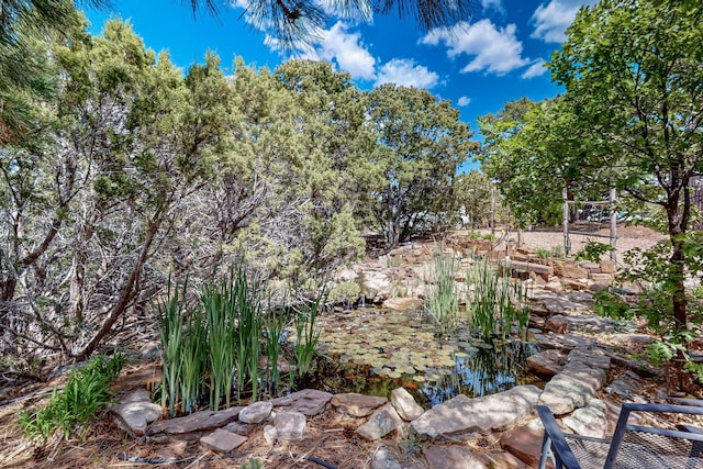 97 Quartz Trl, Santa Fe, NM 87505 - view of local wilderness