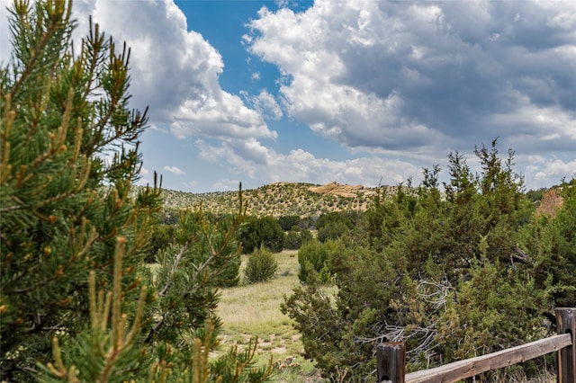 681 General Goodwin Rd, Cerrillos, NM 87010 - view of mountain background