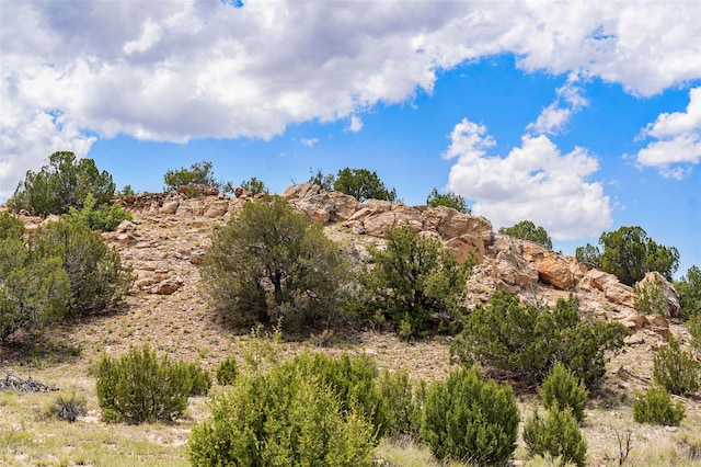 681 General Goodwin Rd, Cerrillos, NM 87010 - view of undeveloped land