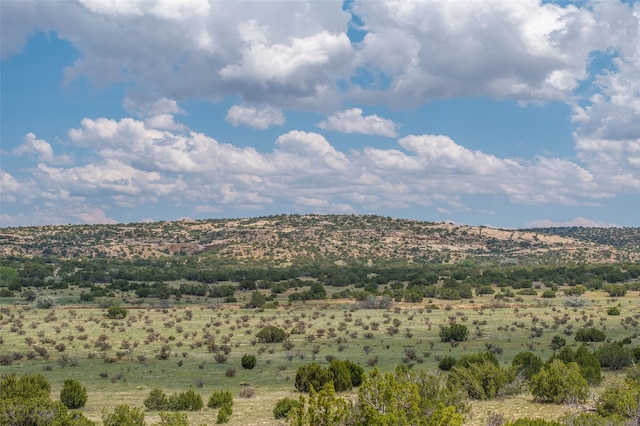 681 General Goodwin Rd, Cerrillos, NM 87010 - view of mountain backdrop