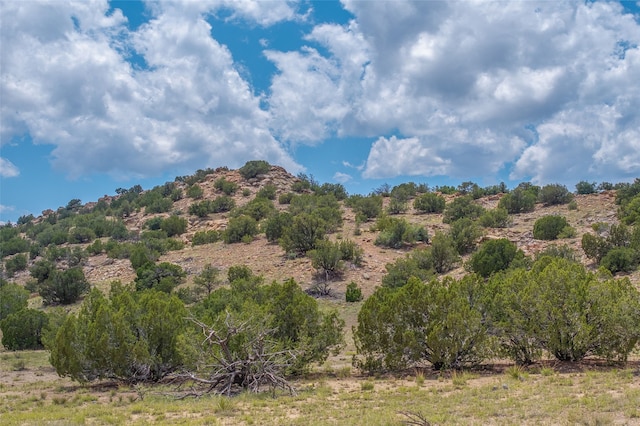 681 General Goodwin Rd, Cerrillos, NM 87010 - view of mountain backdrop