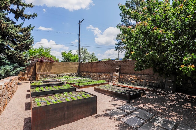 974 Old Santa Fe Trl, Santa Fe, NM 87505 - view of patio / terrace featuring a vegetable garden