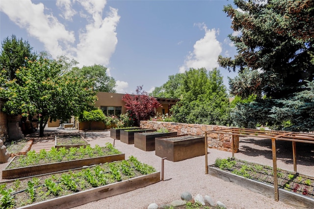 974 Old Santa Fe Trl, Santa Fe, NM 87505 - view of yard with a vegetable garden