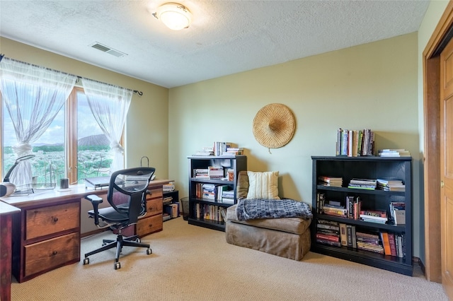 131 Quintana Rd, Questa, NM 87556 - office with carpet flooring and a textured ceiling