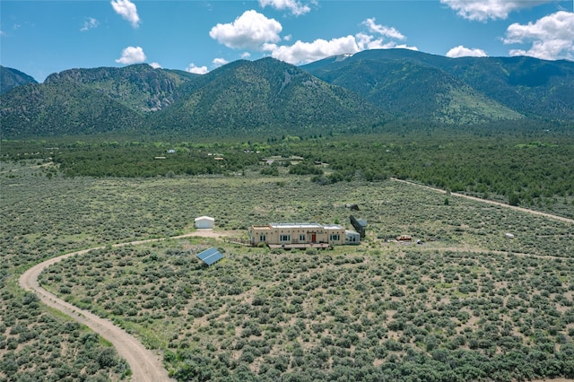 131 Quintana Rd, Questa, NM 87556 - mountain view
