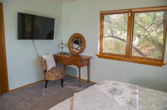 7 Paseo De Rincon, Santa Fe, NM 87508 - bedroom featuring carpet and baseboards