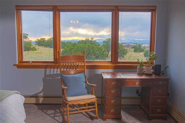 7 Paseo De Rincon, Santa Fe, NM 87508 - living area with a baseboard radiator and dark carpet