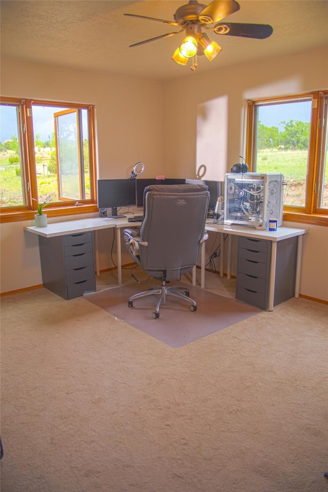 7 Paseo De Rincon, Santa Fe, NM 87508 - office space with light colored carpet and ceiling fan