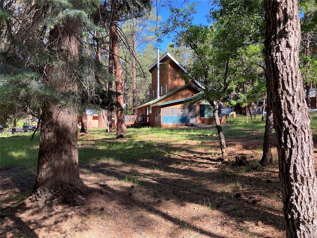 9 Bear Rd, Chama, NM 87520 - view of yard