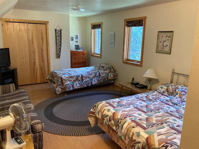 9 Bear Rd, Chama, NM 87520 - bedroom featuring wood finished floors and a closet