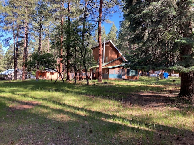 9 Bear Rd, Chama, NM 87520 - view of yard