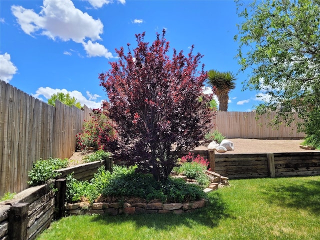 2730 La Silla Dorada, Santa Fe, NM 87505 - view of fenced backyard