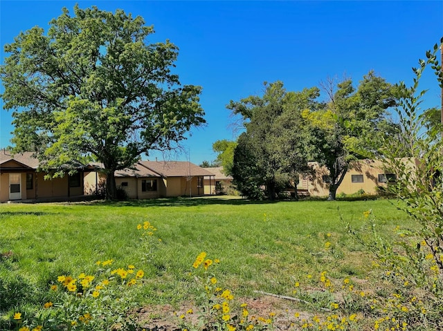 120 Camino Santiago, Santa Fe, NM 87501 - view of green lawn