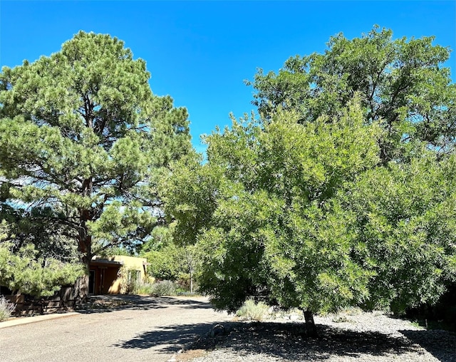 120 Camino Santiago, Santa Fe, NM 87501 - view of asphalt road