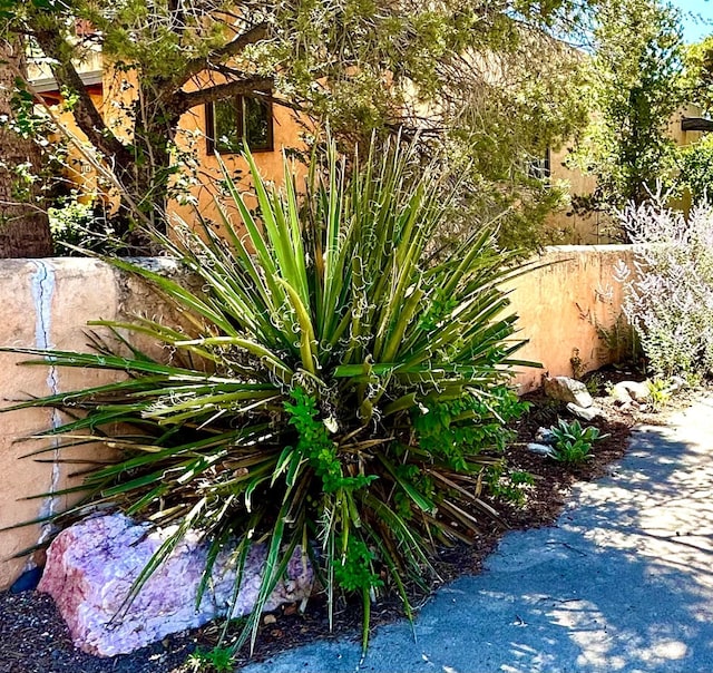 120 Camino Santiago, Santa Fe, NM 87501 - exterior view