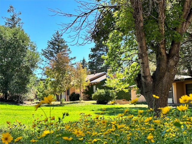 120 Camino Santiago, Santa Fe, NM 87501 - view of grassy yard