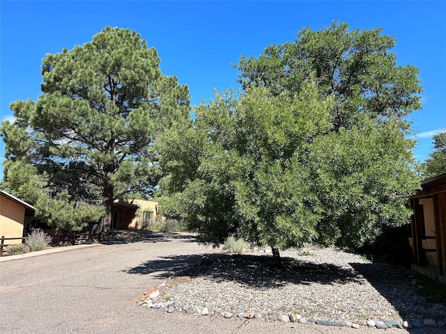 120 Camino Santiago, Santa Fe, NM 87501 - view of yard