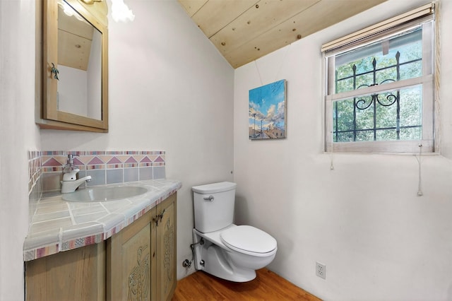 952 Acequia Madre, Santa Fe, NM 87505 - bathroom featuring vanity, wood finished floors, tasteful backsplash, and vaulted ceiling