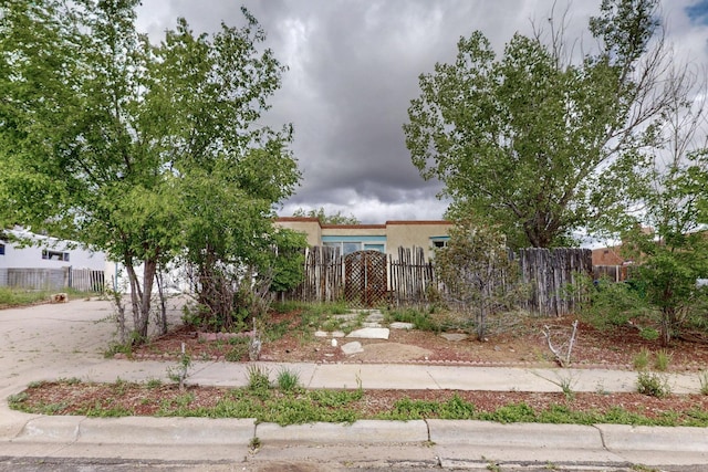 1017 Practilliano Dr, Santa Fe, NM 87505 - view of yard with concrete driveway