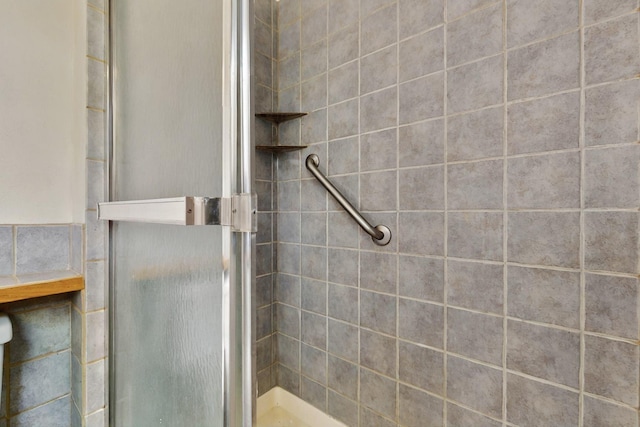 1017 Practilliano Dr, Santa Fe, NM 87505 - bathroom featuring a shower stall