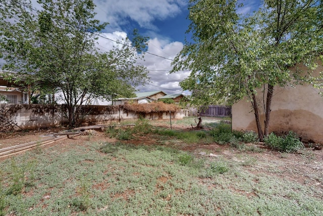 1017 Practilliano Dr, Santa Fe, NM 87505 - view of yard