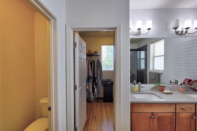 139 Rancho Viejo Blvd, Santa Fe, NM 87508 - bathroom with vanity, wood finished floors, a walk in closet, and healthy amount of natural light