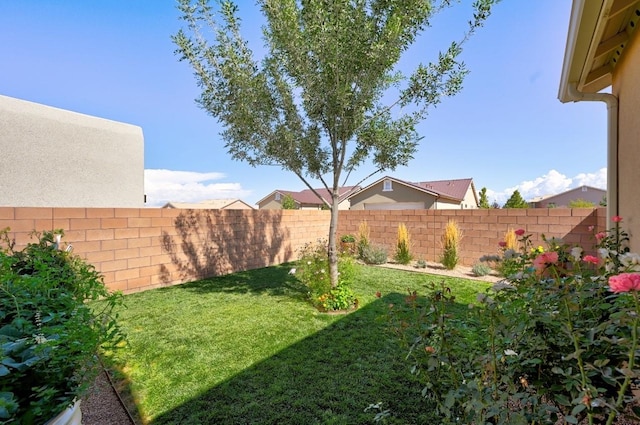 139 Rancho Viejo Blvd, Santa Fe, NM 87508 - view of fenced backyard