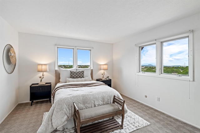 3046 Plaza Blanca, Santa Fe, NM 87507 - bedroom featuring light colored carpet and baseboards