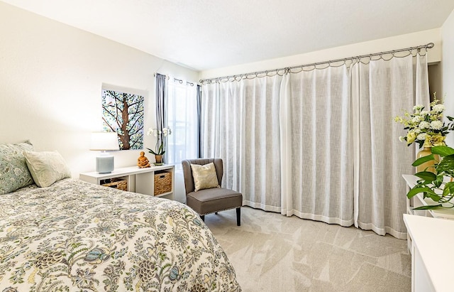 941 Calle Mejia Unit 413, Santa Fe, NM 87501 - bedroom featuring light colored carpet