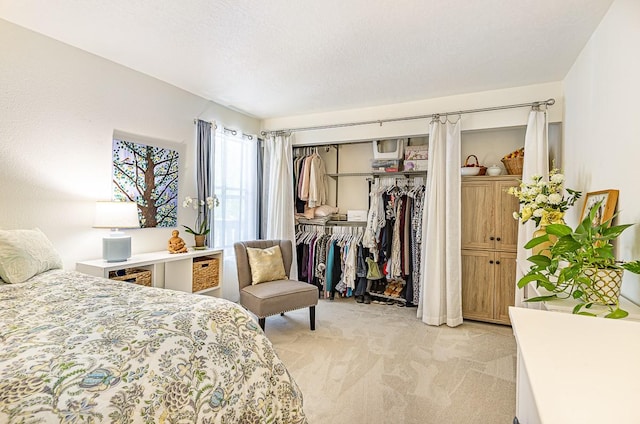 941 Calle Mejia Unit 413, Santa Fe, NM 87501 - bedroom with light carpet and a closet
