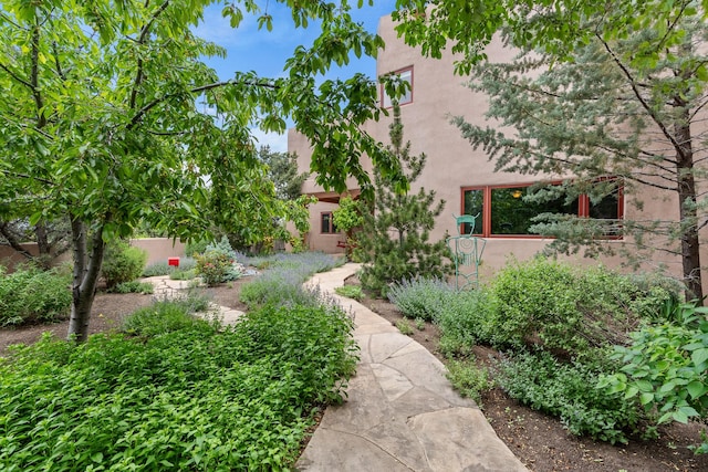 19 Camino Don Carlos, Santa Fe, NM 87506 - view of yard