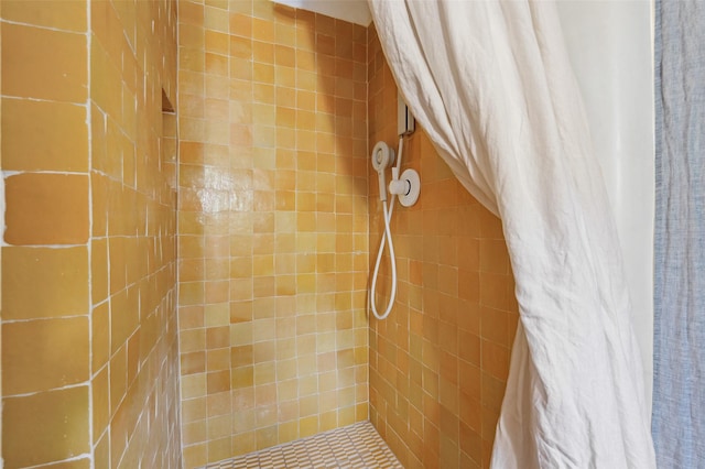 46 Sibley, Santa Fe, NM 87508 - bathroom featuring tiled shower