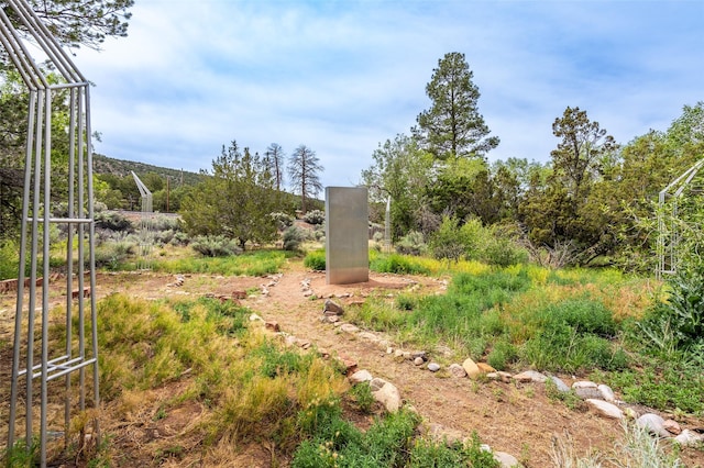 46 Sibley, Santa Fe, NM 87508 - view of yard