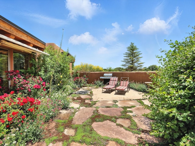62 Camerada Loop, Santa Fe, NM 87508 - view of yard featuring a patio