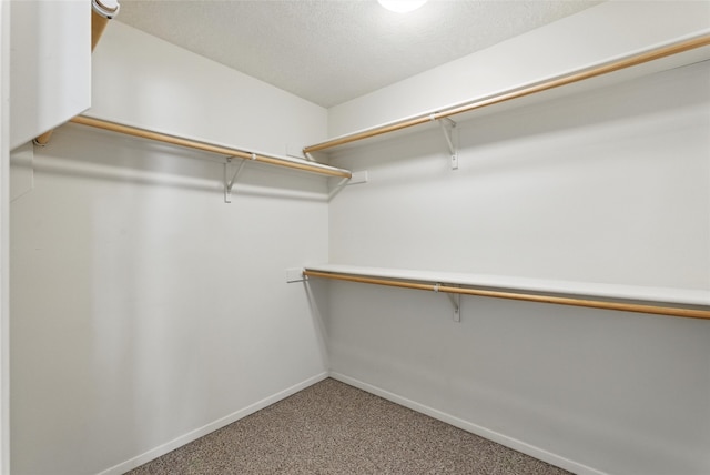 4857 Yucca St, Los Alamos, NM 87544 - spacious closet featuring carpet flooring
