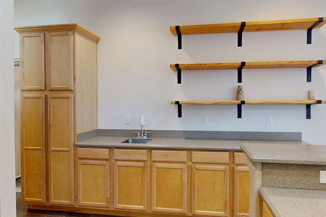 5045 Carriage House Dr, Los Alamos, NM 87544 - kitchen with open shelves and light countertops