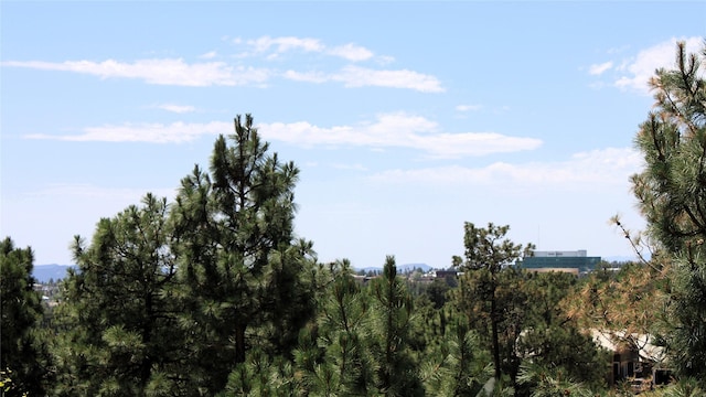 5045 Carriage House Dr, Los Alamos, NM 87544 - view of local wilderness