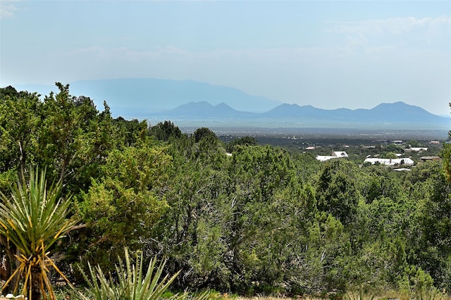 117 La Ventana, Santa Fe, NM 87508 - view of mountain background with a heavily wooded area