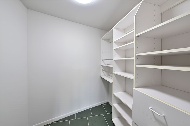 117 La Ventana, Santa Fe, NM 87508 - walk in closet with tile patterned flooring