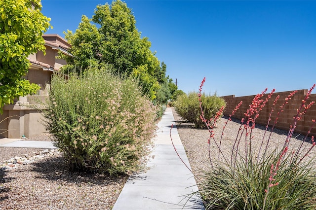 4351 San Benito Unit A, Santa Fe, NM 87507 - view of yard