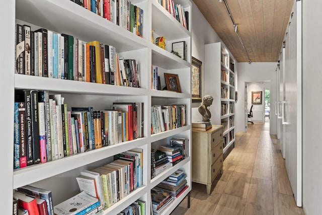 24 Whispering Spirits Dr, Cerrillos, NM 87010 - corridor featuring light wood-style floors and track lighting