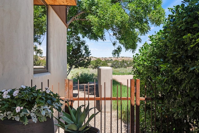 24 Whispering Spirits Dr, Cerrillos, NM 87010 - exterior space with a gate
